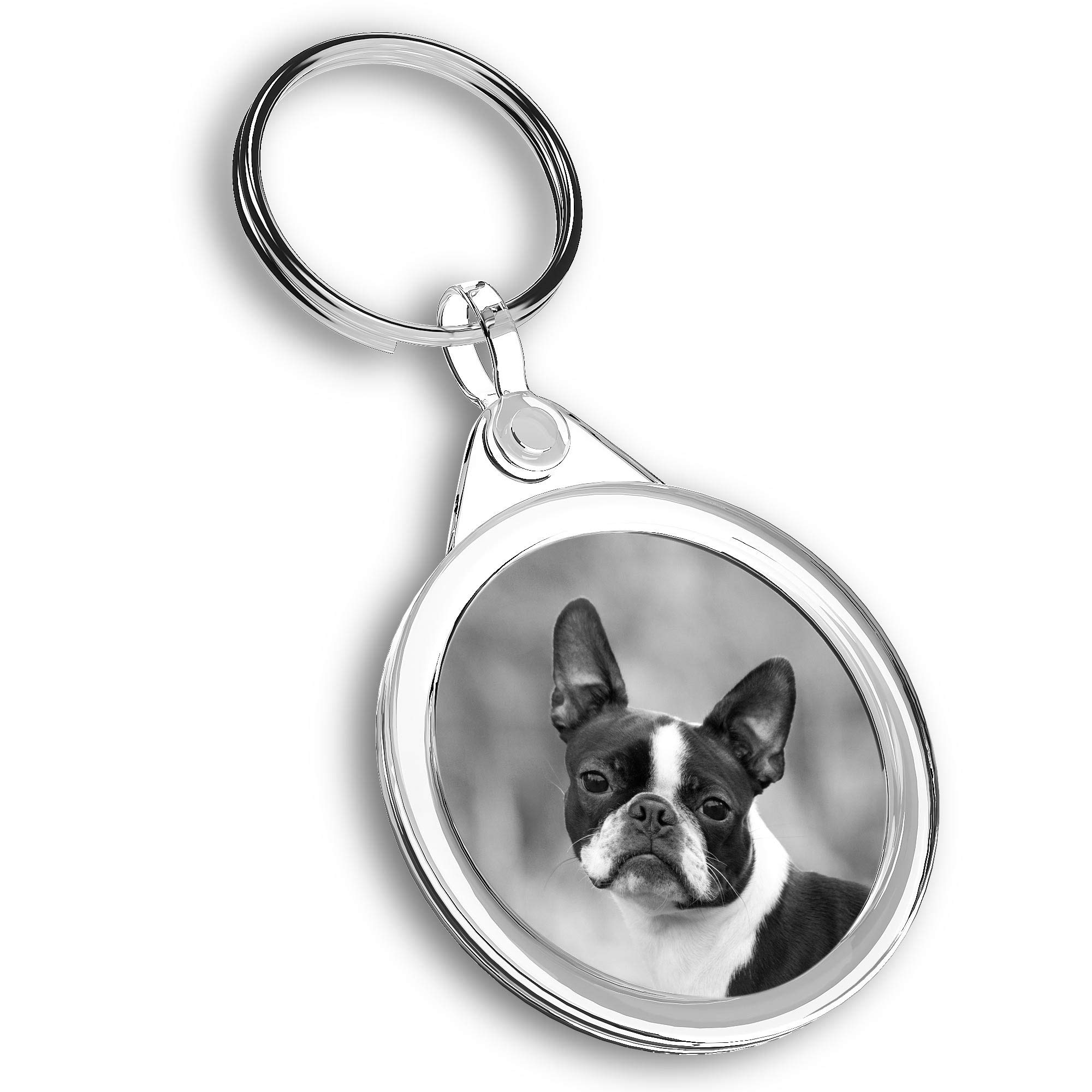 1 x Photo Keyring - Cute Boston Terrier Puppy Dog |Keychain|Keyring|Charm| #37530