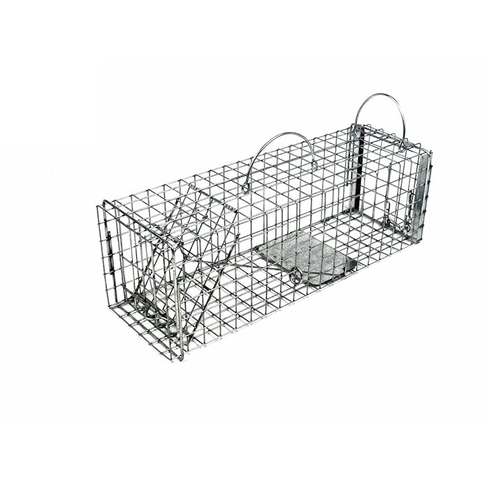 Buy Tomahawk Live Trap Model 603 Original Series Rigid Live Trap