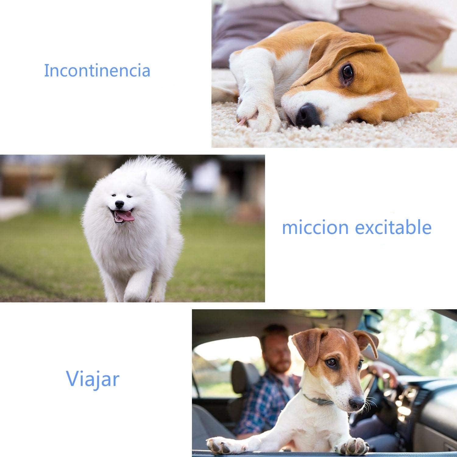 SMELL & SMILE Disposable Dog Diapers Dog Diapers Sanitary Pet Sanitary Panties Soft Absorbent Hygienic Panties (Female, XXS) - Image 4