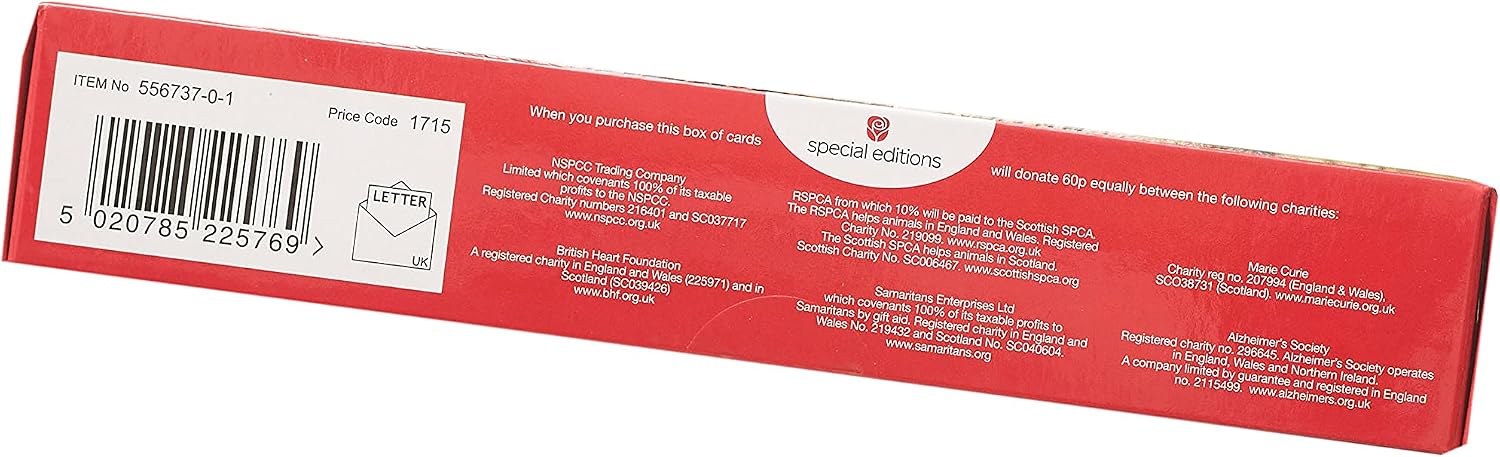 Box of 24 Assorted Festive Fun Multiple Charity Christmas Cards In 4 Designs, red|peach|brown - Image 5