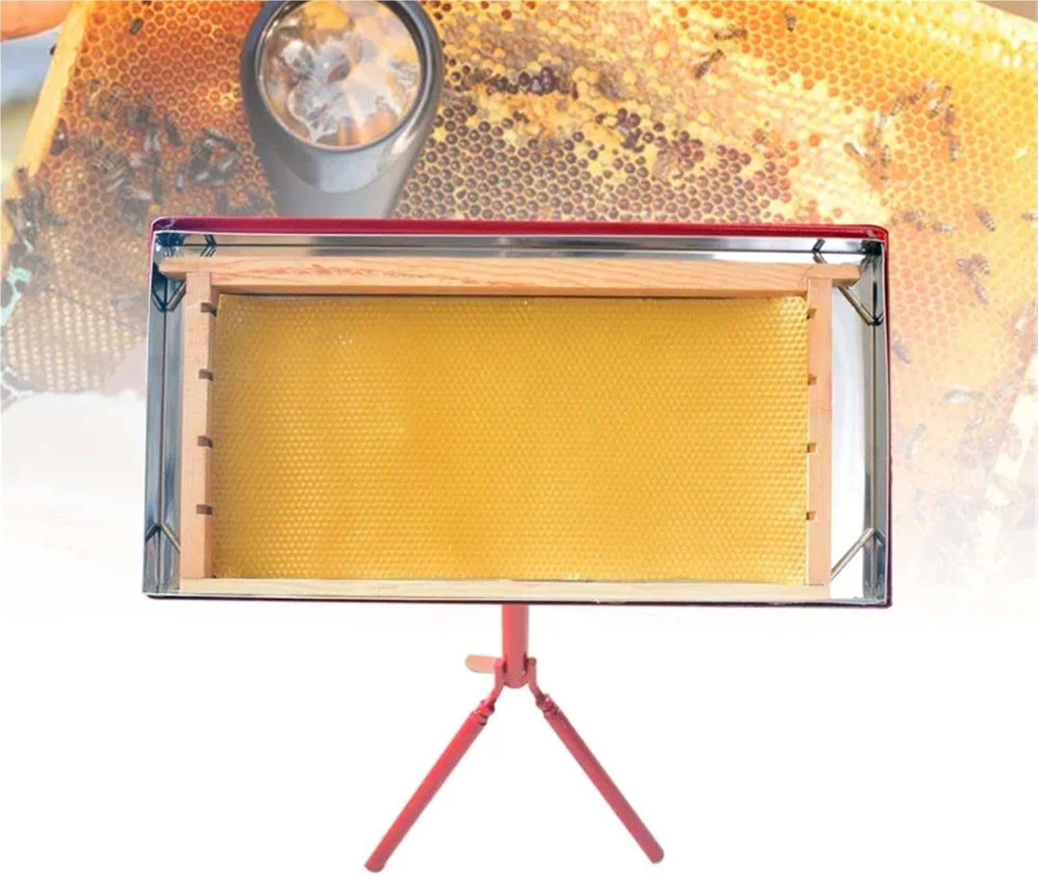 美品・生息率レア】COACH チャーム キーホルダー トリケラトプス 紫×青