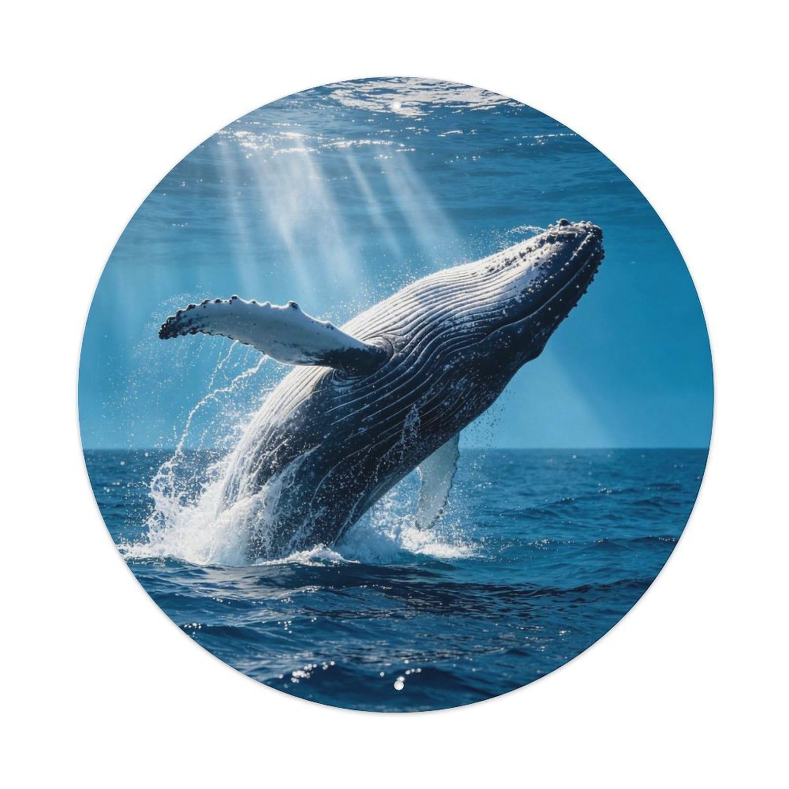 Humpback Whale Breaching Ocean Metal Tin Sign Plaque