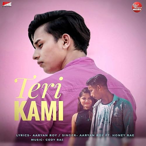 Amazon Com Teri Kami Feat Honey Rae Aaryan Roy Mp3 Downloads amazon com