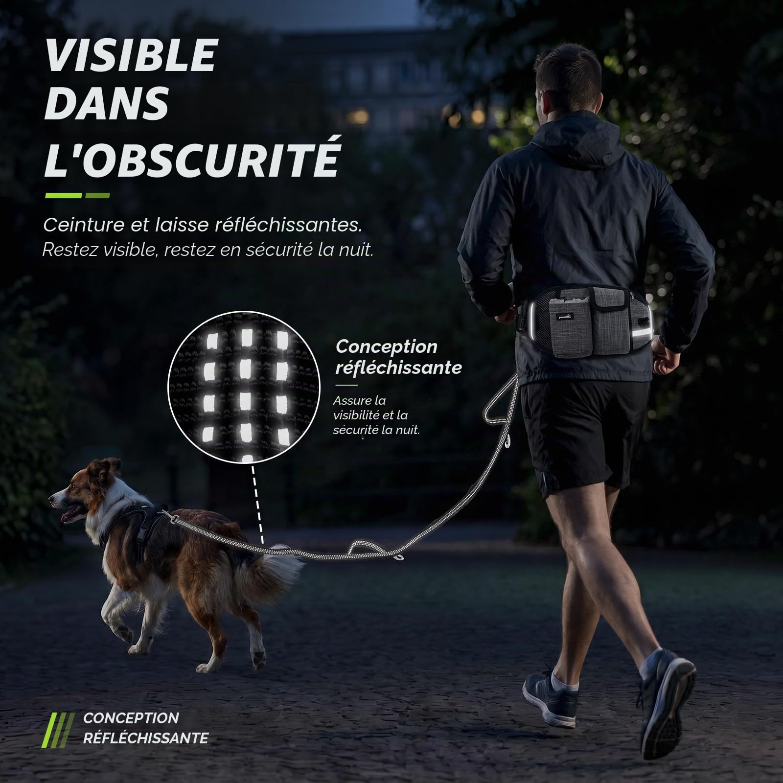 Pecute Laisse Canicross Chien Mains Libres Jusqu'à 50kg Absorption de Choc Couture Réfléchissante