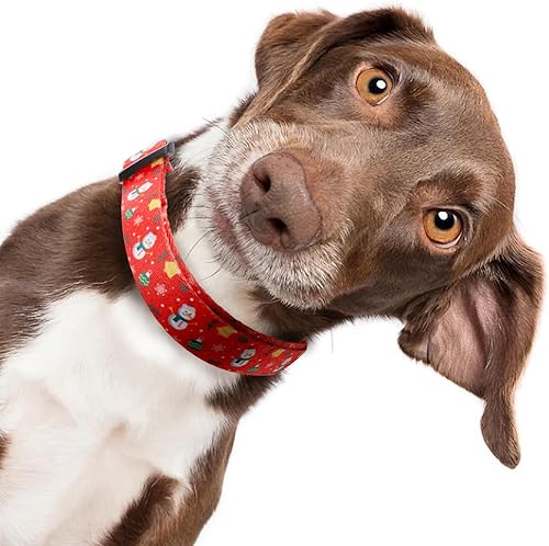 Miniatura 8 de QQPETS Collar suave ajustable para perro Estampado de flores rosadas, multicolor, lindos patrones para especies pequeñas, talla XS, especies