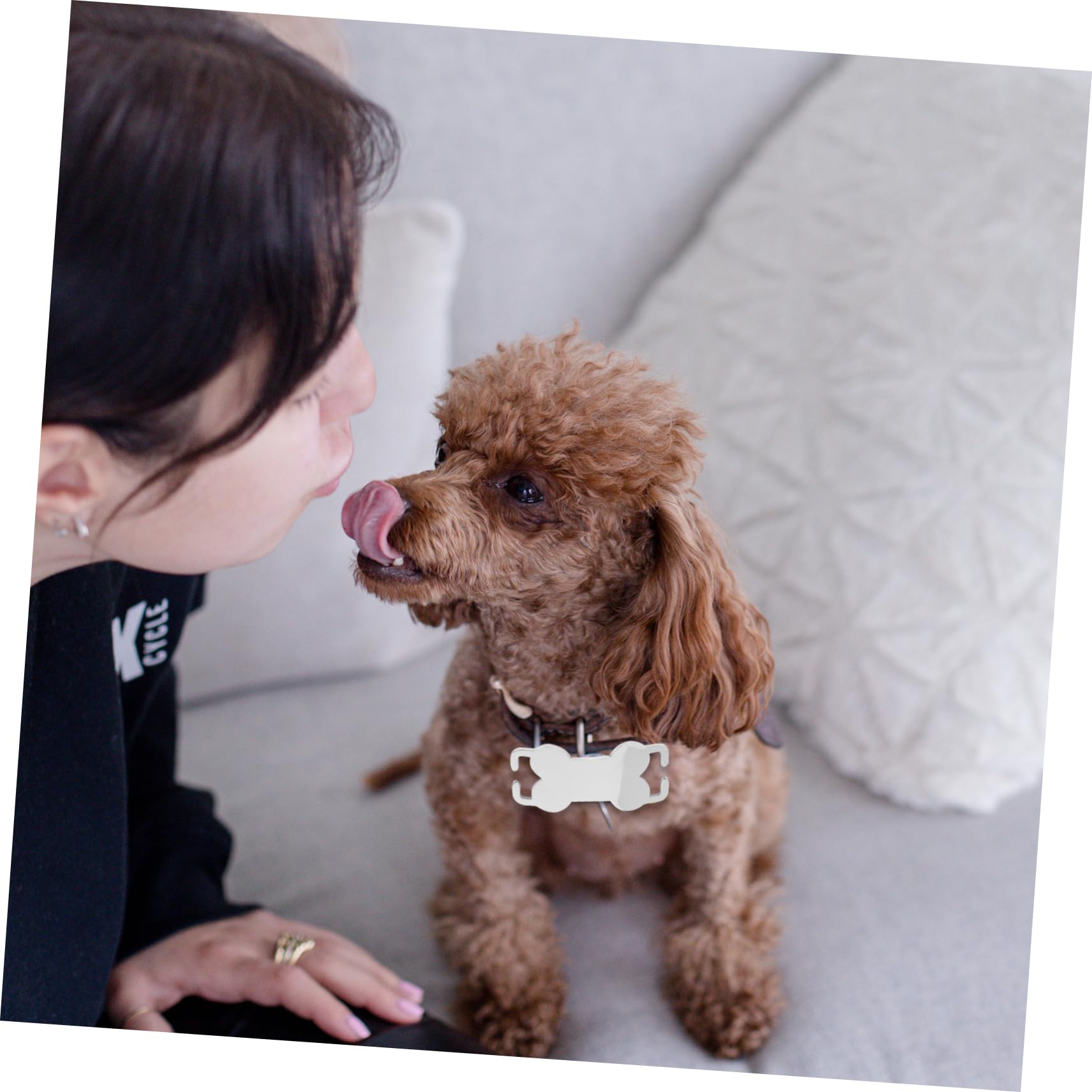 SUPVOX 30 Piezas Etiqueta De Mascota Placas De Identificación Mascotas Etiquetas Huesos Etiqueta De Nombre Del Collar De Placa De Identidad Acero Inoxidable Cuello