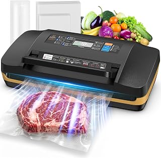 Envasadora al Vacío Doméstica Alimentos, 95 kPa & Doble Sellado