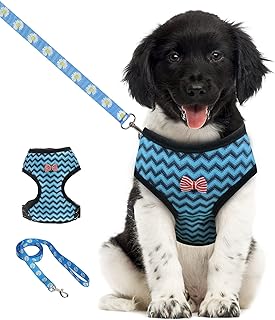 amazon pug life harness