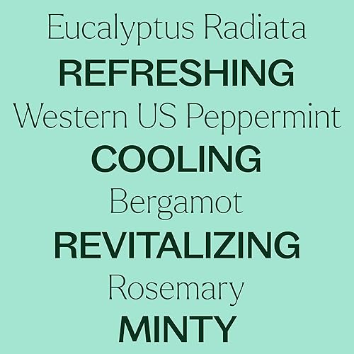 Miniatura 5 de Plant Therapy Mezcla de aceites esenciales de eucalipto y menta, 10 mL (1/3 oz) vigorizante, respira más fácil, mezcla de aromaterapia para