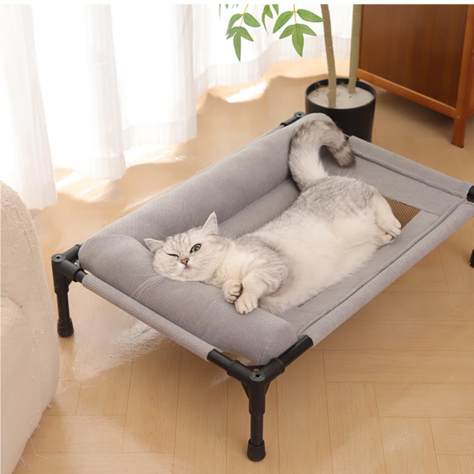 Cuccia Rialzata per Cani, Brandina Lavabile con Telaio Rialzato da Terra, Cuccia Traspirante per Gatti e Cani da Interno e Esterno, Gray, per Giardino, Terrazza, Patio, Gray, M