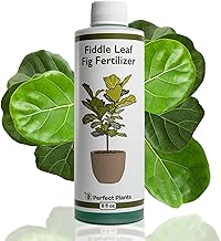 Perfect Plants Liquid Fiddle Leaf Fig Fertilizer | 8oz. of Premium Concentrated Indoor Ficus Food | Get Big Leaves and Healthy Plants