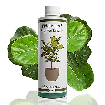 Perfect Plants Liquid Fiddle Leaf Fig Fertilizer | 8oz. of Premium Concentrated Indoor Ficus Food | Get Big Leaves and Healthy Plants