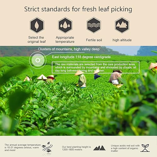 Miniatura 3 de Té verde de 100 g3.5 onzas, 13 paquetes de té verde fragante sin azúcar de hojas sueltas, hojas de té chino, regalos para amigos