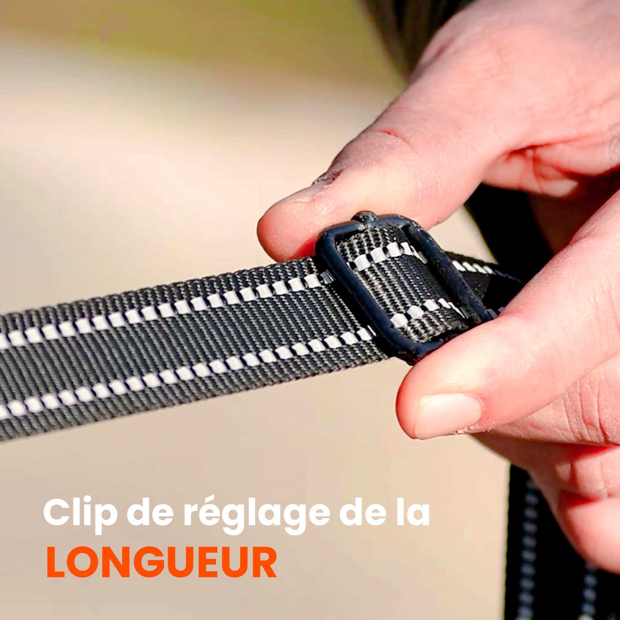 Longe pour Chien 5m / 7m / 10m / 15m / 20m - Laisse de Dressage pour Chiens avec Poignée Rembourrée et Sac de Rangement - Grande Laisse Chien pour Petits, Moyens et Grands Chiens - Noir