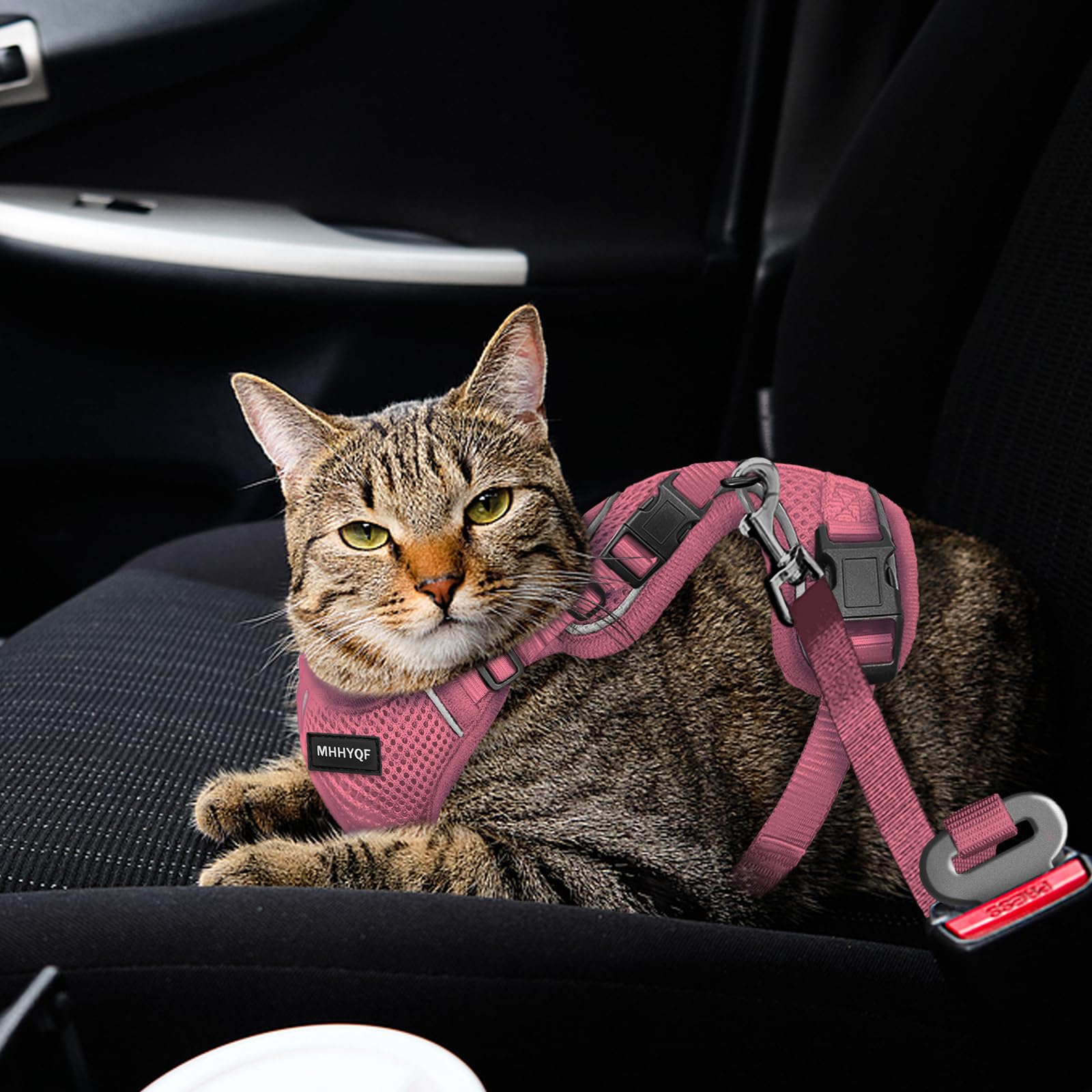 Katzengeschirr und Leine, Set zum Spazierengehen, ausbruchsicher, verbessertes verstellbares Geschirr an Vier Stellen, weiche Kätzchenweste mit reflektierenden Streifen für Katzen, Bequeme
