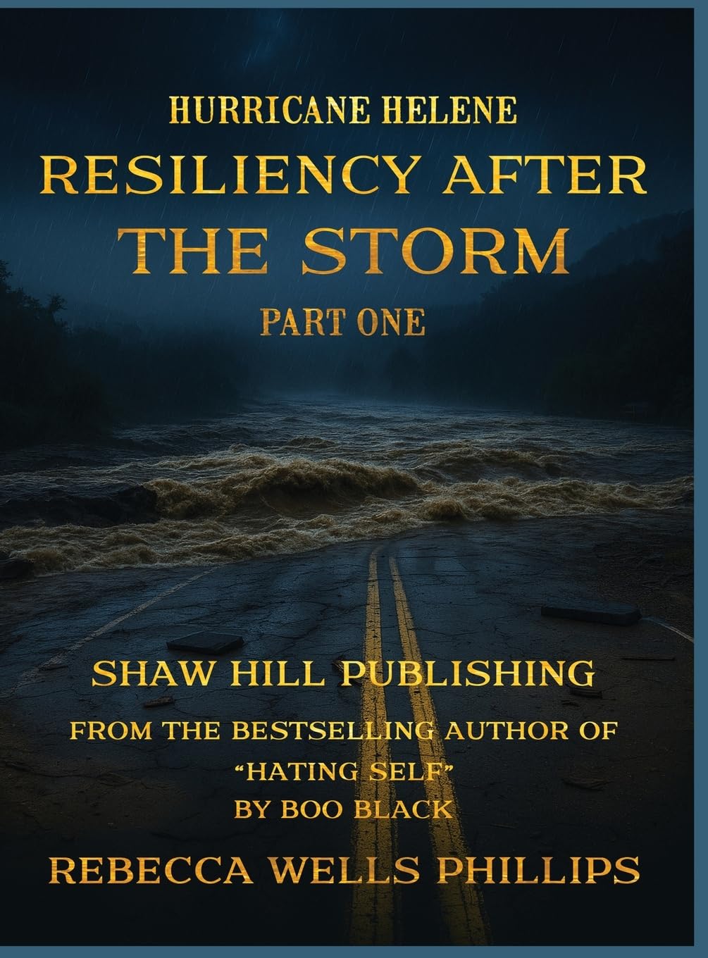 Hurricane Helene Resiliency After the Storm Part One      Hardcover – August 4, 2025