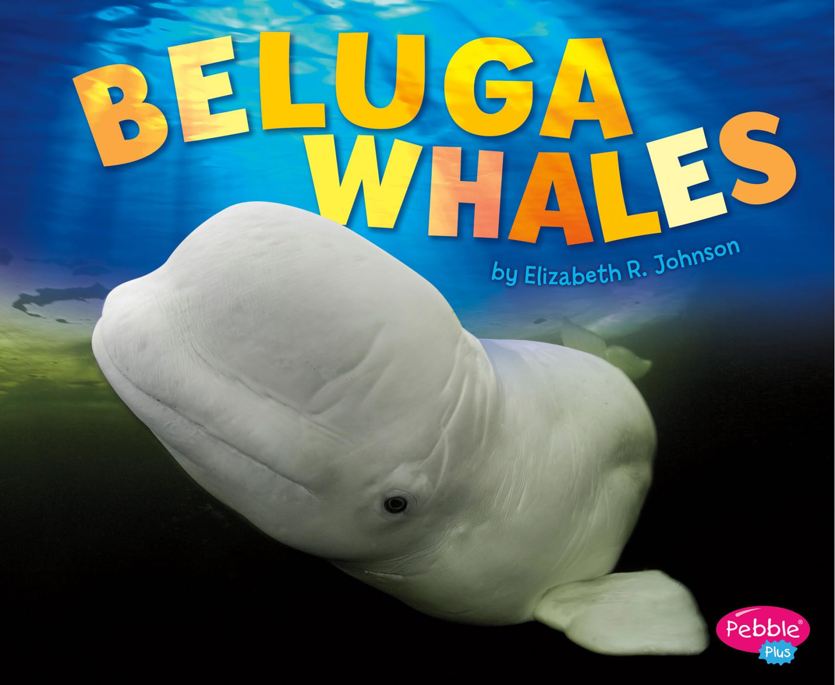 Beluga Whale (Pebble Plus: Sea Life)