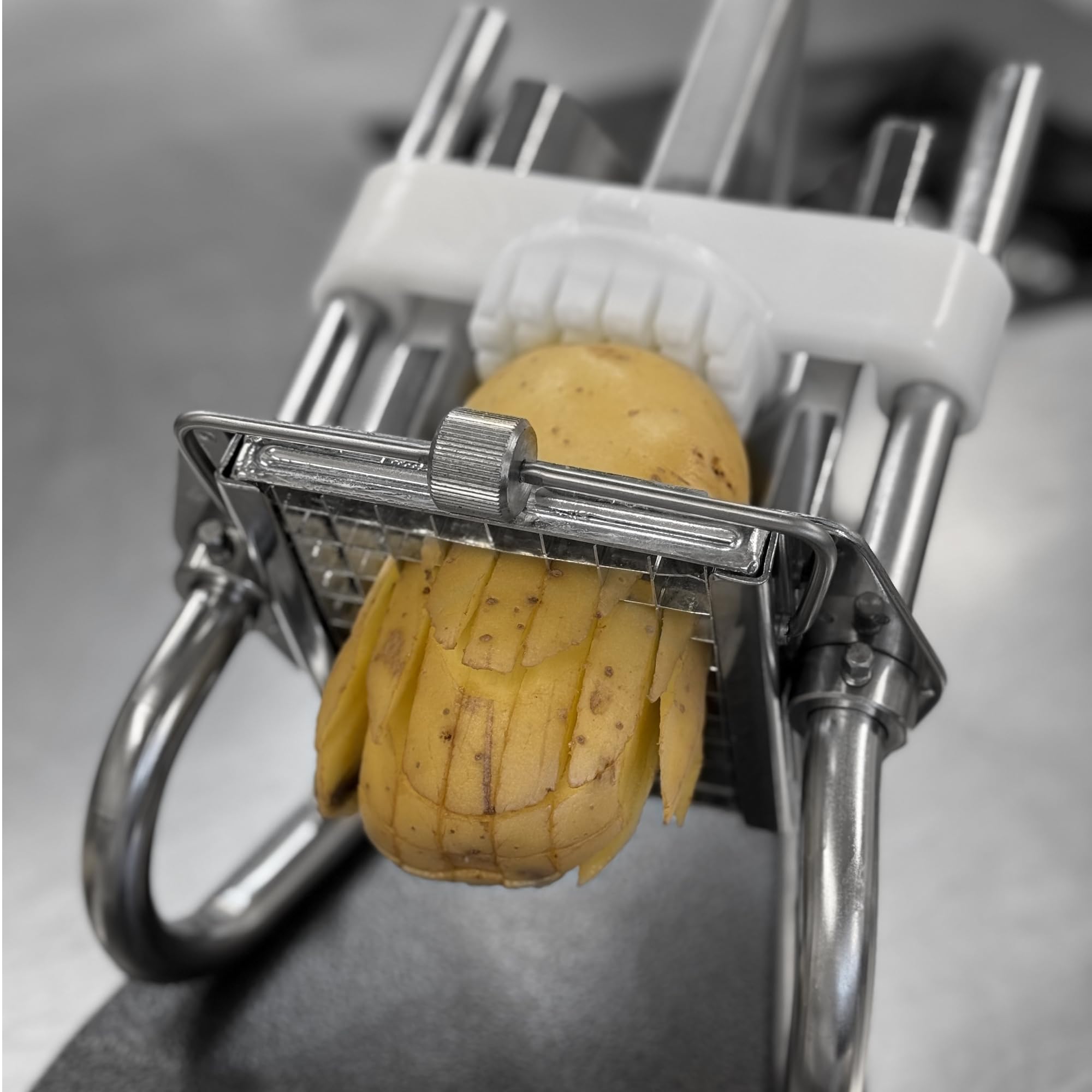Amazon.com: Louis Tellier CS10 Professional French Fry Cutter on
