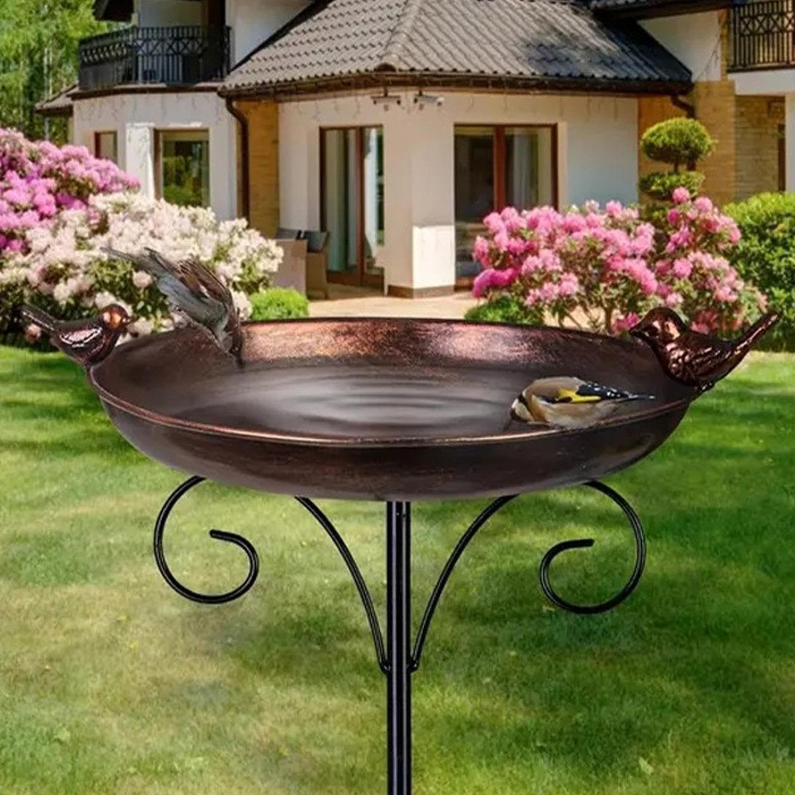 Bol pour bain d'oiseaux -abreuvoir multifonctionnelle