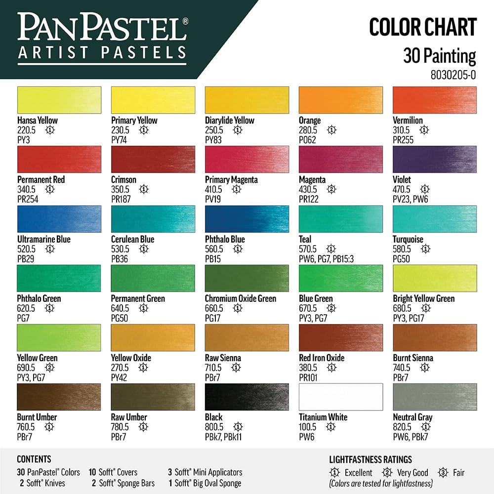 Amazon.com: PanPastel Artist Pastels by Golden, Painting Set, 30