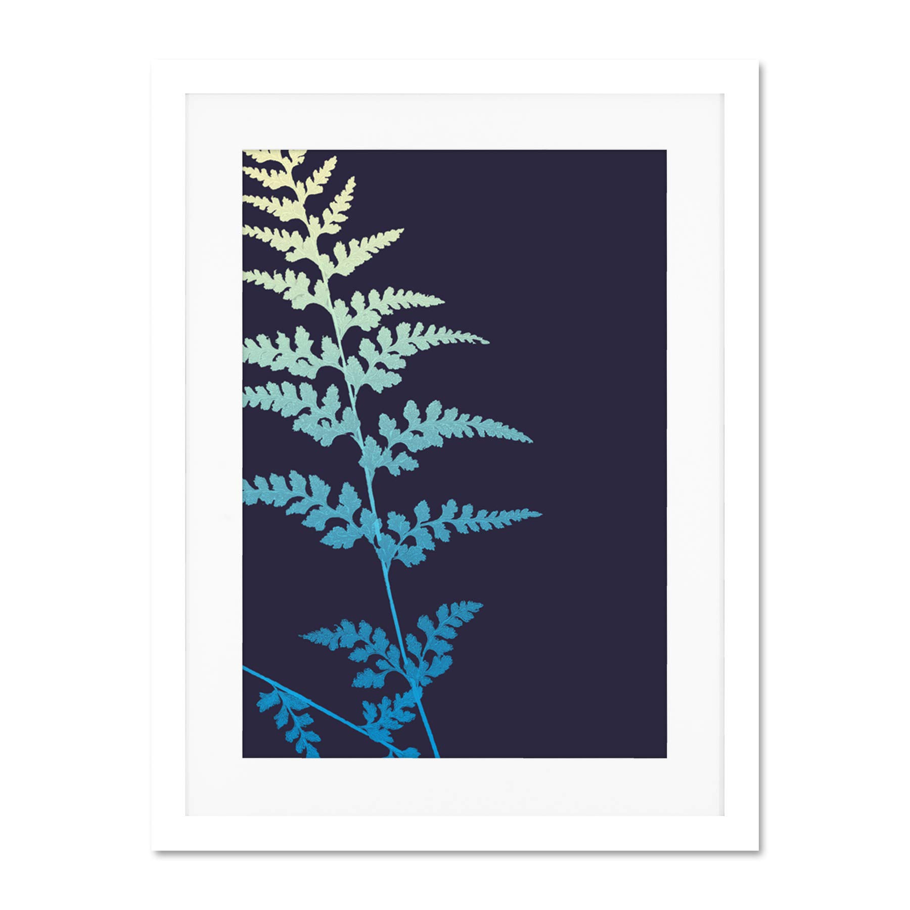 Wee Blue Coo Bright Fern Illustration Large Framed Art Print Wall Poster 18x24 inch