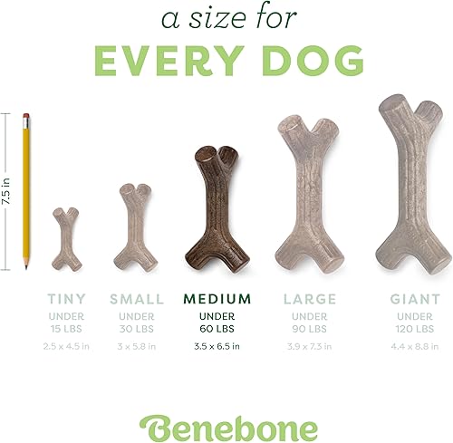 Vista 4 de Benebone Bacon Stick - Juguete masticable duradero para perros masticadores agresivos, tocino real, fabricado en Estados Unidos, mediano