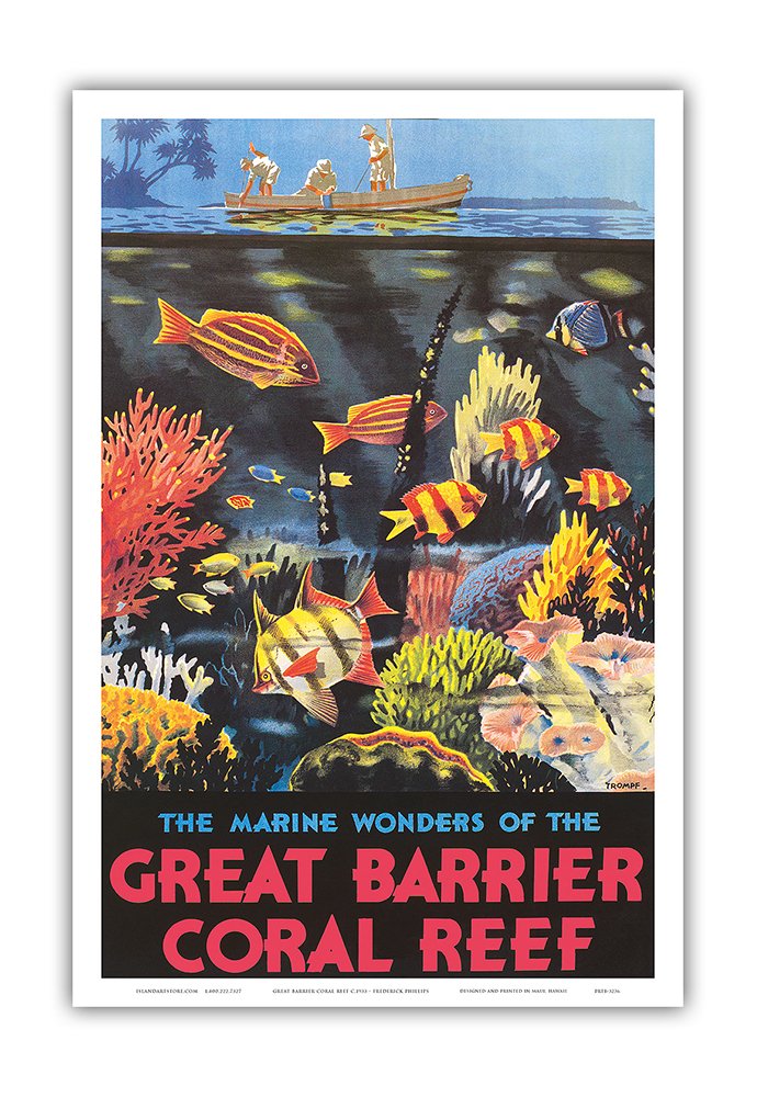 Amazon.com: Queensland Australia - The Marine Wonders of the Great