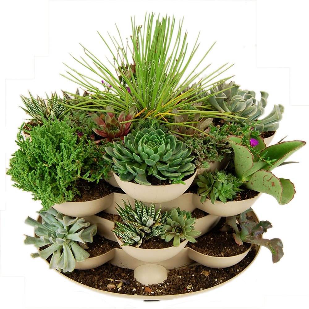 Advanced Graphics Elvira Coffin Cardboard Stand-Up