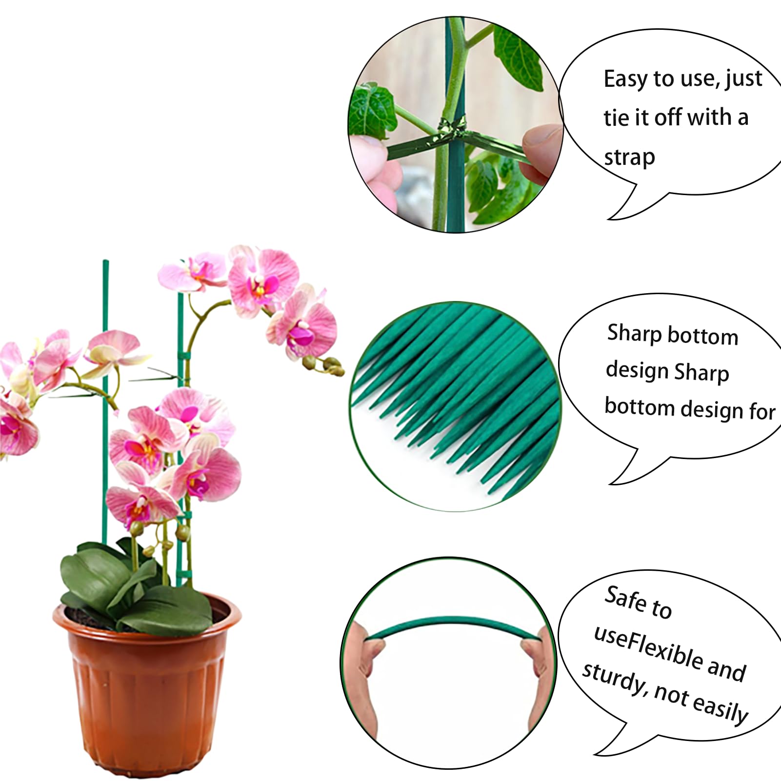 DeJivsin 50 Stck Pflanzstbe 30 cm, Flower Sticks, Pflanzen sttze, mit 50  Stck Metallischen Bindebndern, Pflanzenstab Grne, Orchideen Stbe fr ...