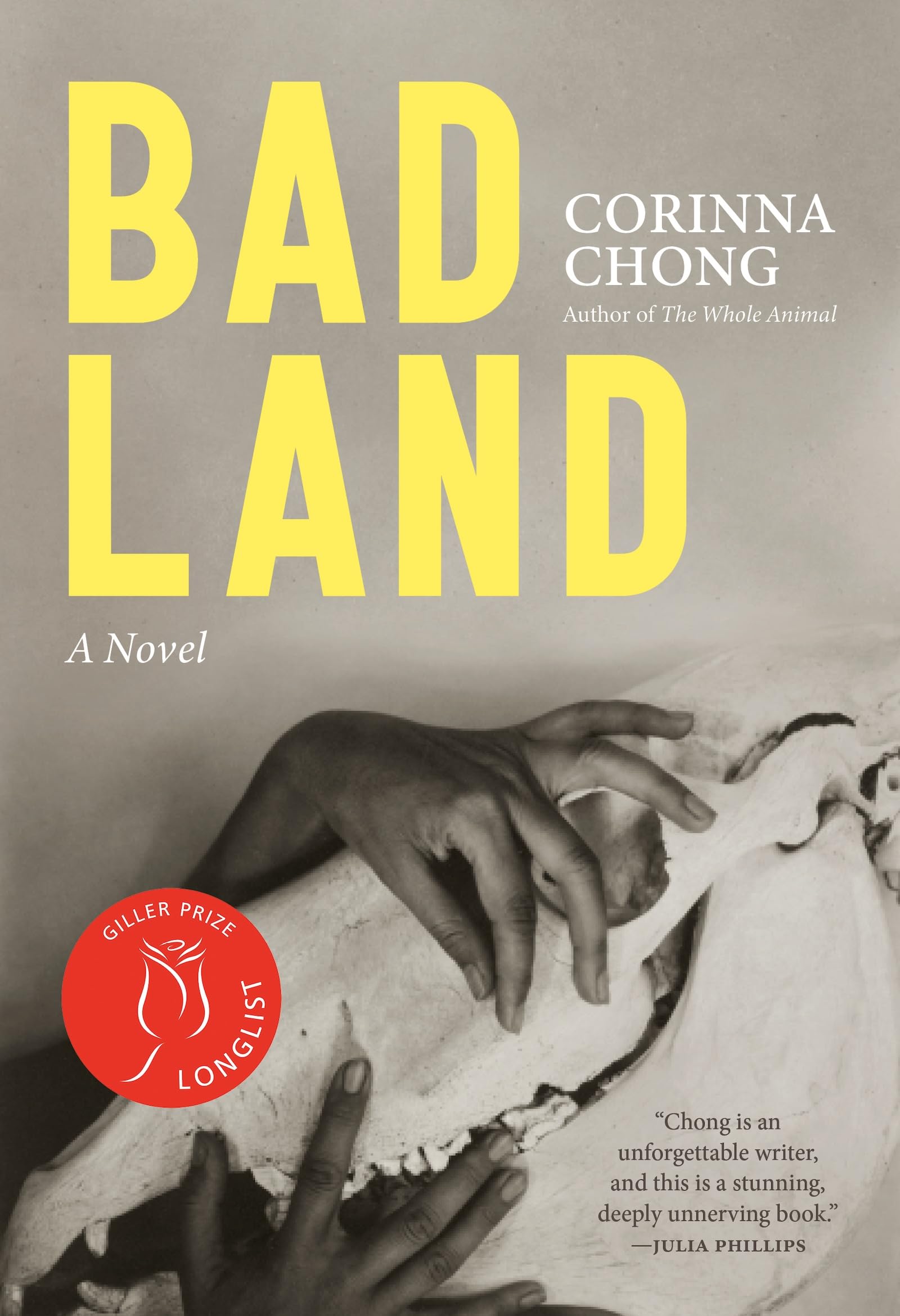 Bad Land: A Novel