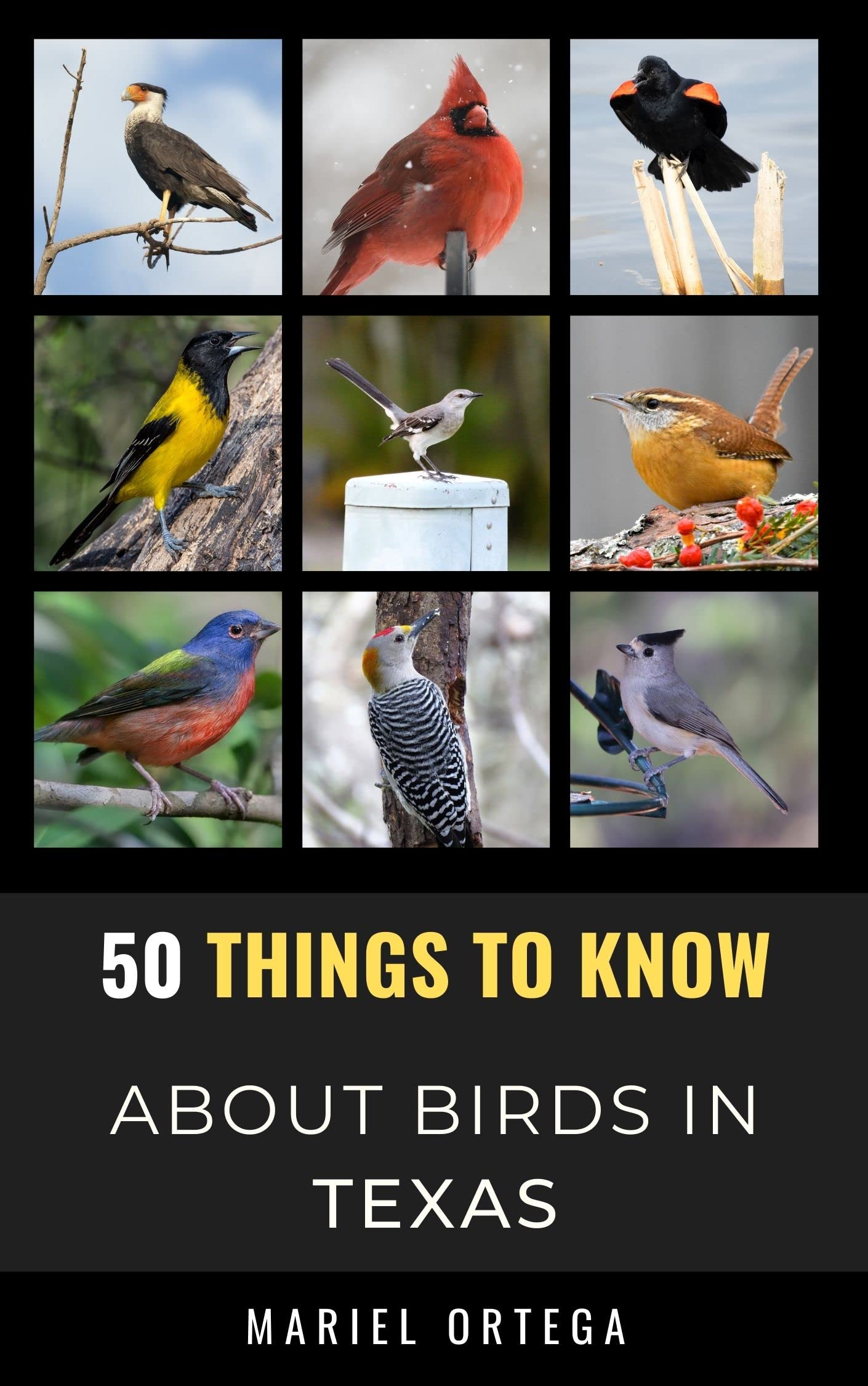 Buy 50 Things to Know About Birds in Texas Birding in the Texas (50