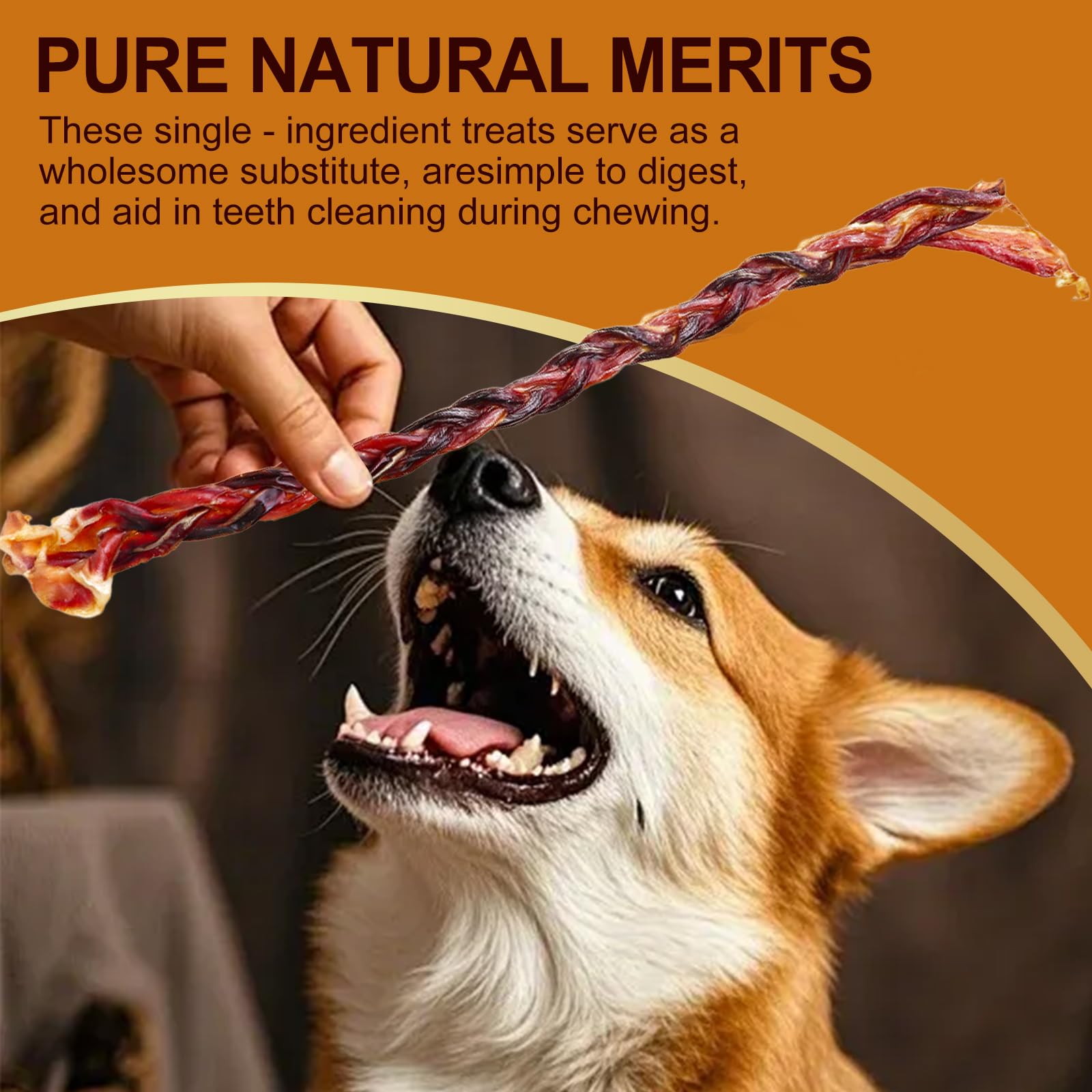 3 Pieces Pork Whip Dog Treats 28cm Each 60g Total Snacks for Heavy Chewing Dogs