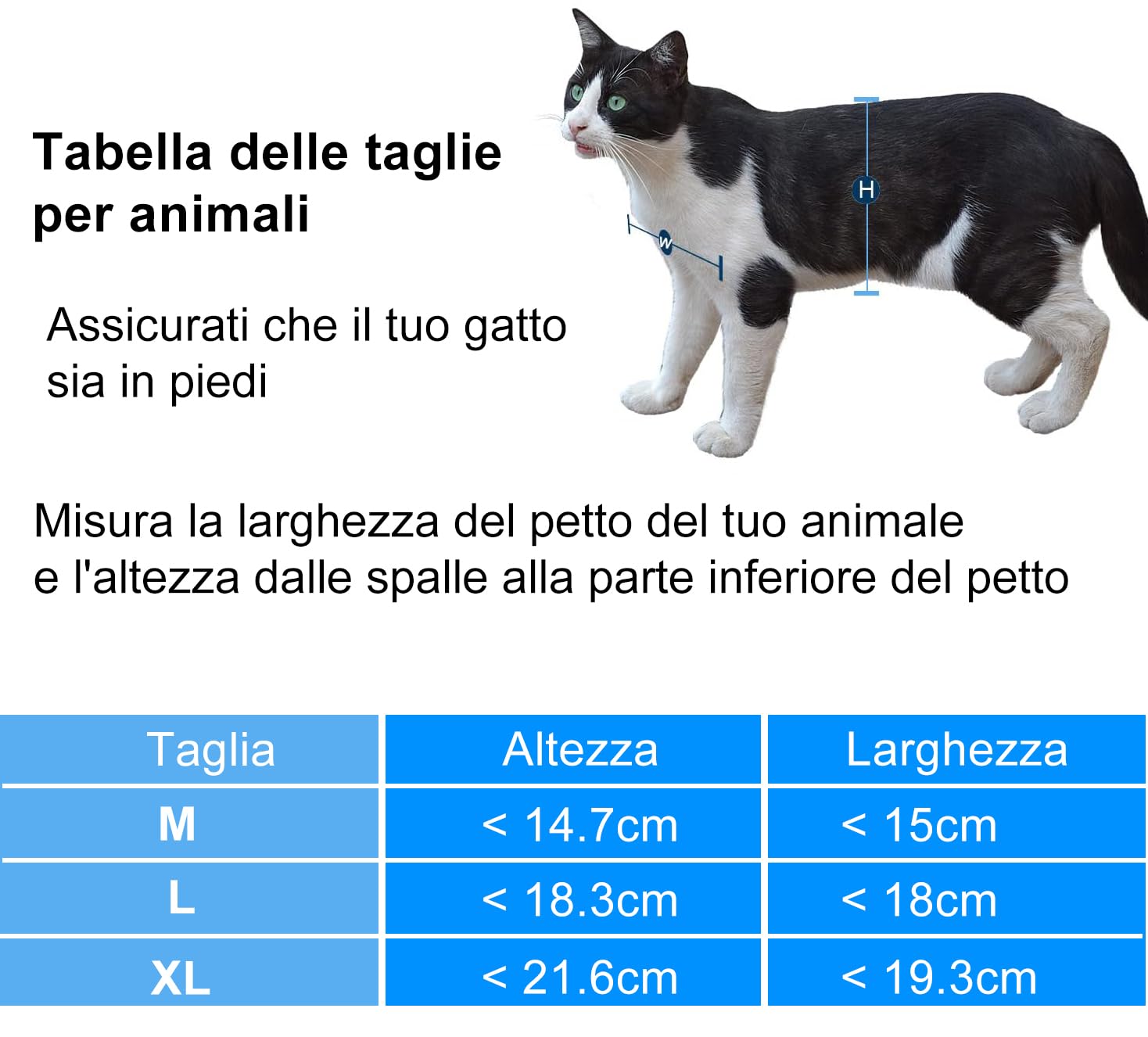 CEESC Gattaiola per gatti extra large (dimensioni esterne 29,5 x 24,9 cm), girevole a 4 vie, con chiusura a 4 vie, porta per interni ed esterni, porta per animali domestici resistente alle intemperie
