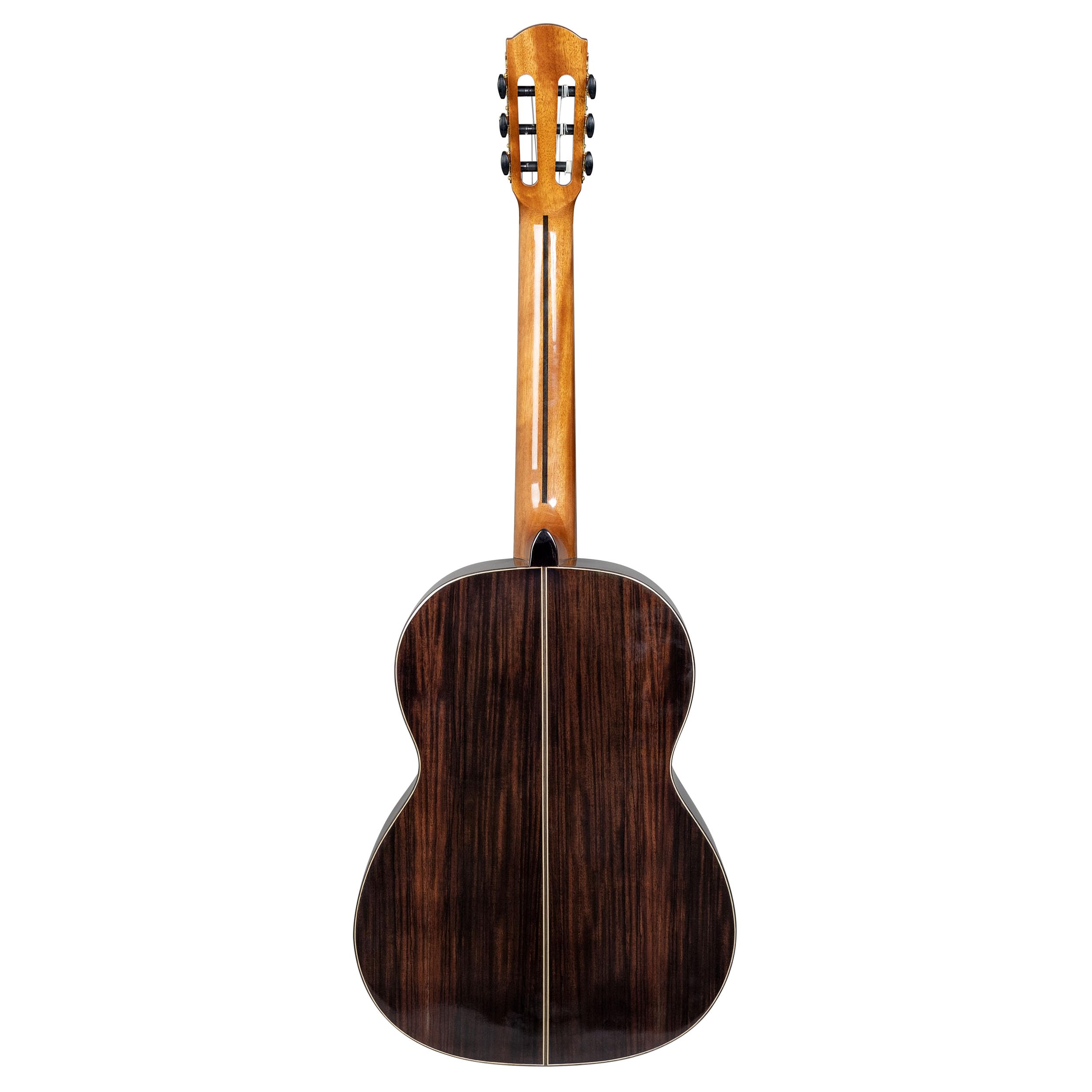 Performer Series Classical Guitar Solid Top 4/4 (incl. borsa imbottita, 3 picchi)