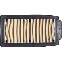 MOTOMASTER Motorcycle Air Filter Compatible with Suzuki GW 250 INAZUMA/GSX-R 250/ DL 250 V-STROM / 13780-48H00