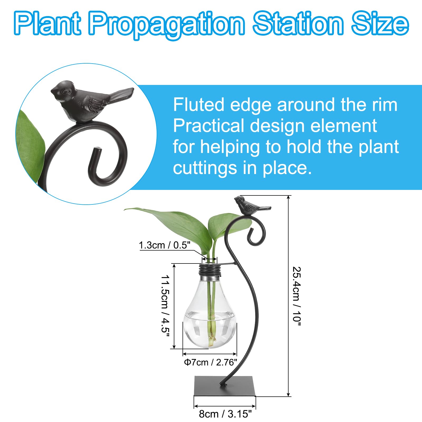 PATIKIL Bird Plant Propagation Station Glass Vases - Image 2