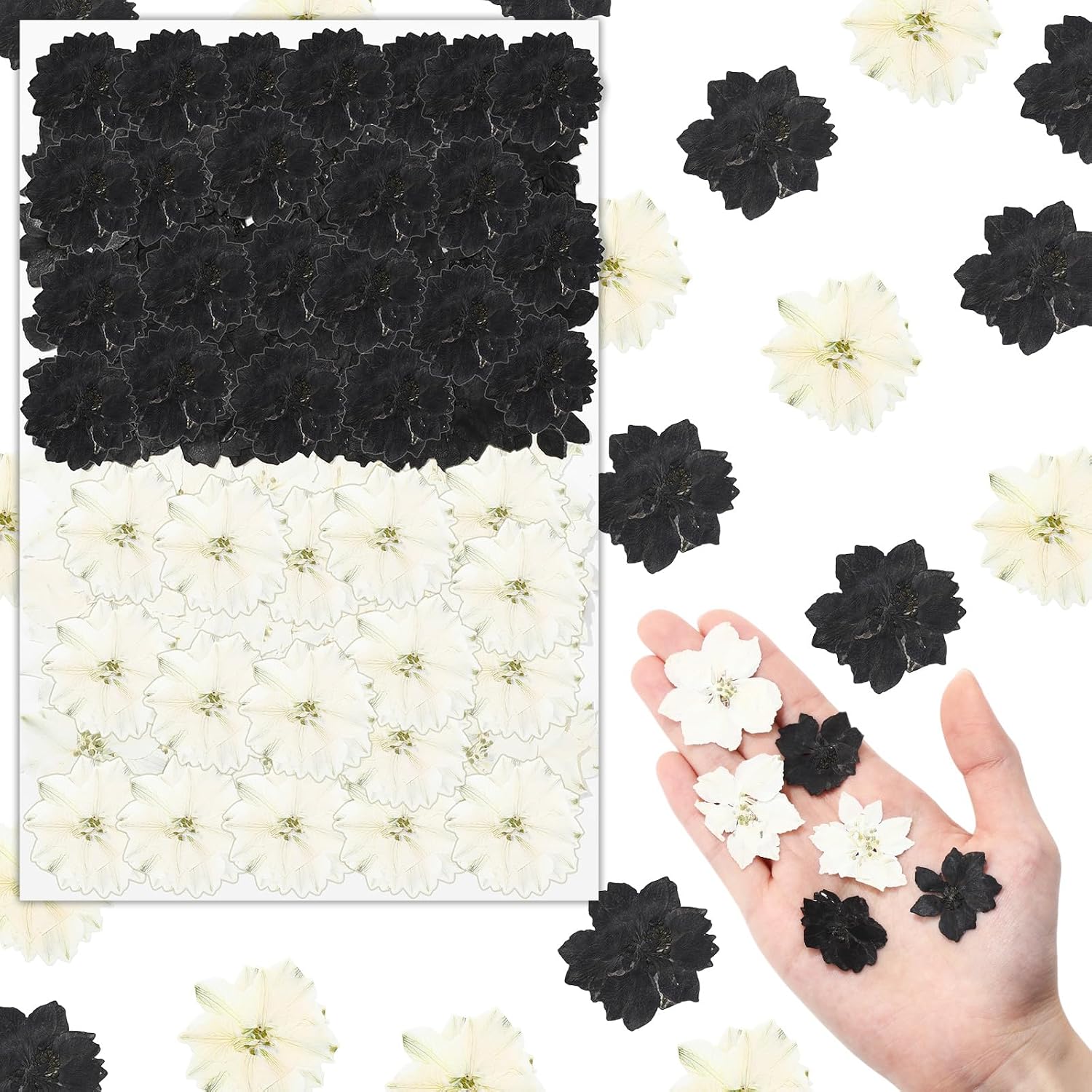Woanger 100 Pcs Pressed Flowers Natural Bulk Resin Filler, Black and White