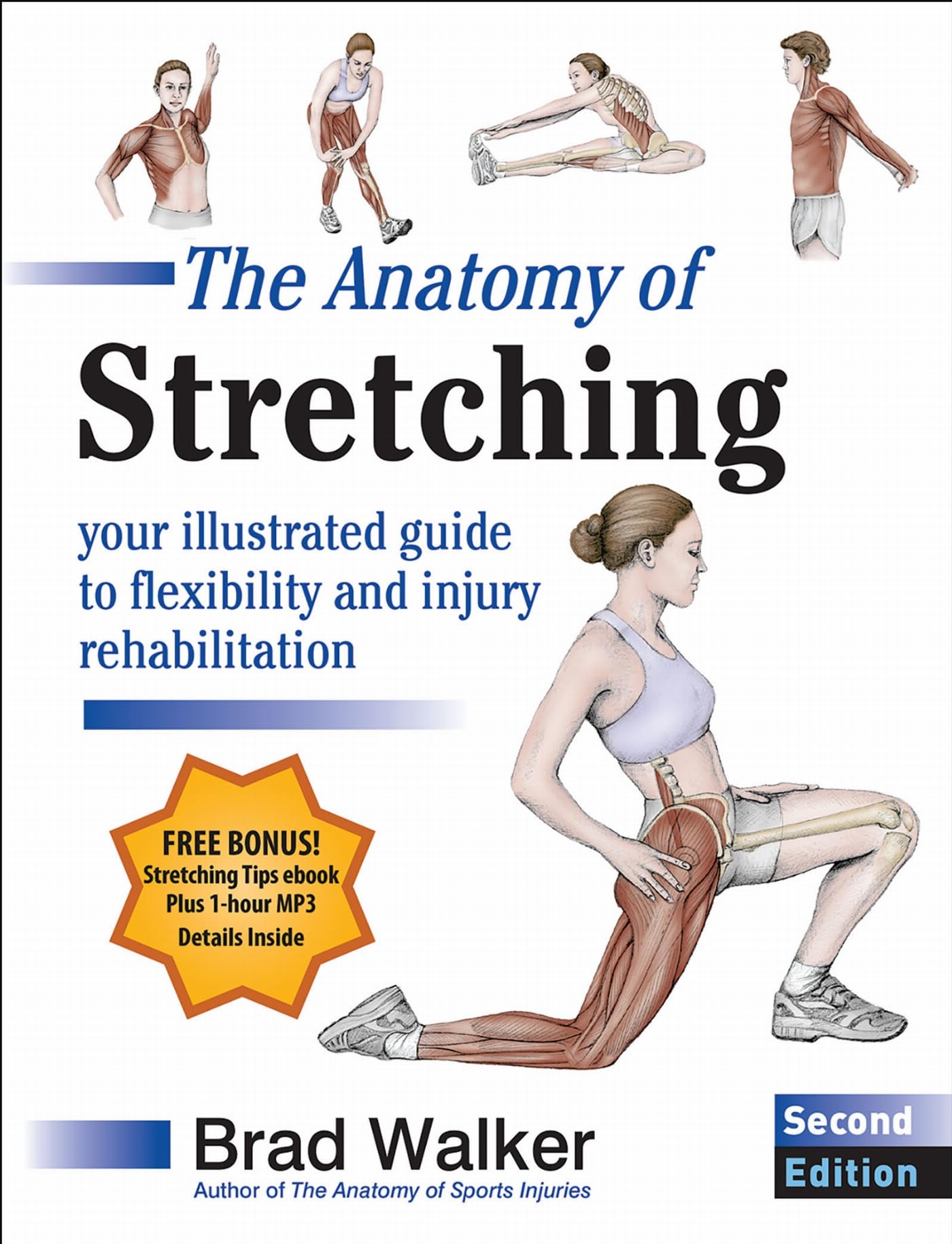 The Anatomy of Stretching: Your Illustrated Guide to Flexibility and Injury Rehabilitation