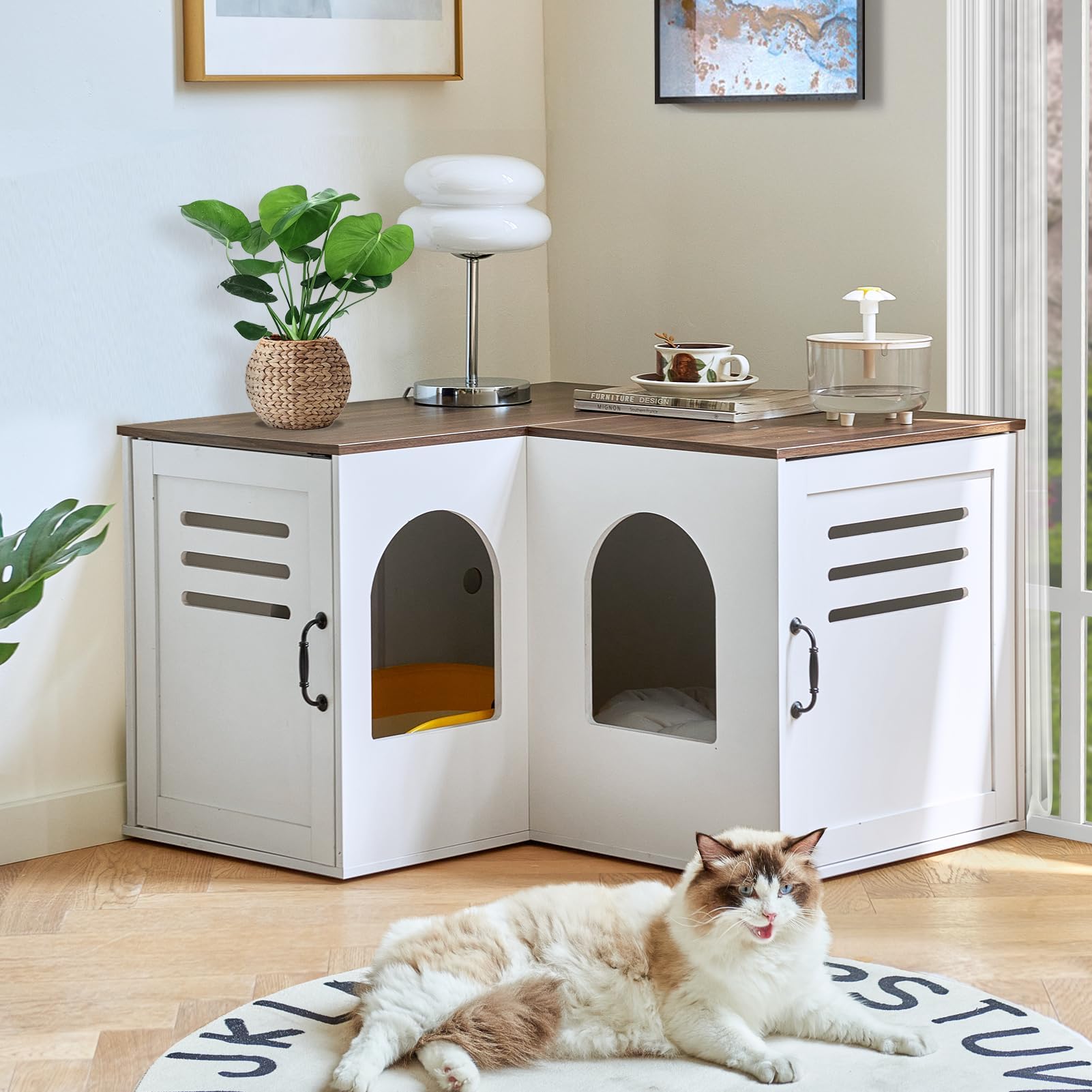 Corner Litter Box Enclosure for 2 Cats, Hidden Litter Box Furniture, Litter Box Cabinet with Double Room, Indoor Cat House End Table, 31.5 x 17.7 x 19.7 in, White