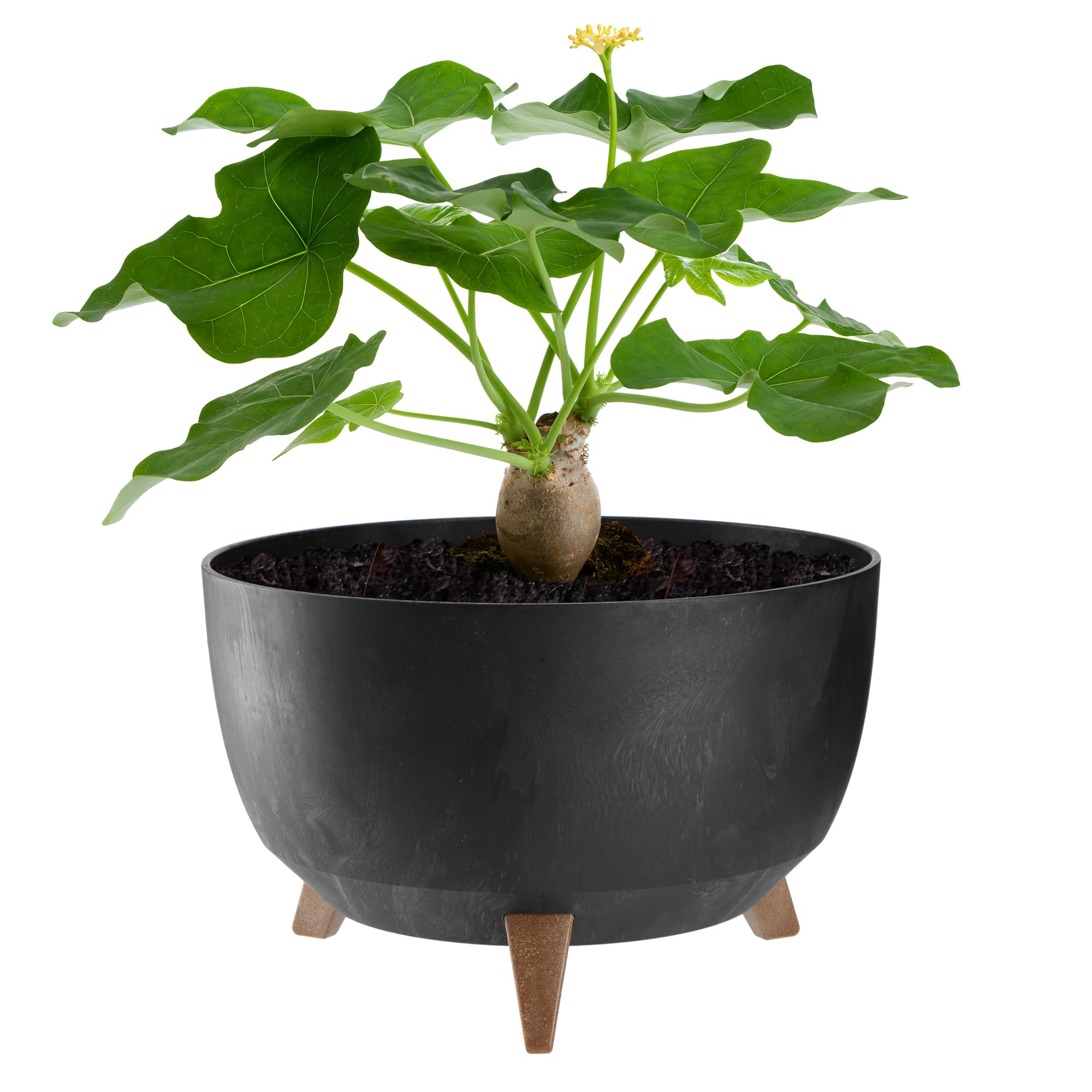 KADAX Plastic Flower Pot with Three Stands, Round Flower Bowl, Flower Pot, Flower Pot, Flower Pot, Balcony, Living Room (39.5 cm, Anthracite) — view 11