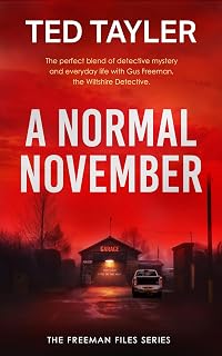 A Normal November: A Cold Case Murder Mystery Series: 15