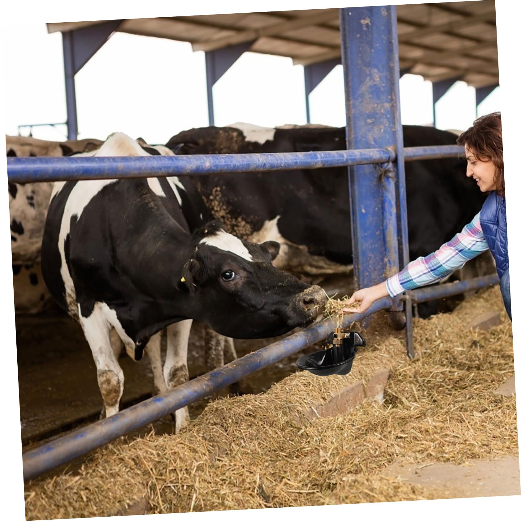 Abbeveratoio Automatico per Cavalli e Bovini in Acciaio Nero