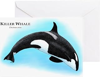 CafePress Killer Whale Or Orca Folded Greeting Card Glossy