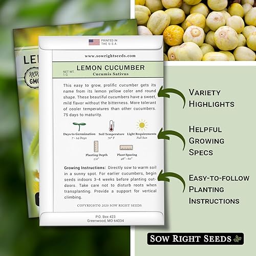 Vista 2 de Sow Right Seeds - Semillas de pepino de limón para plantar - Semillas de reliquia sin OMG con instrucciones para plantar y cultivar un huerto casero