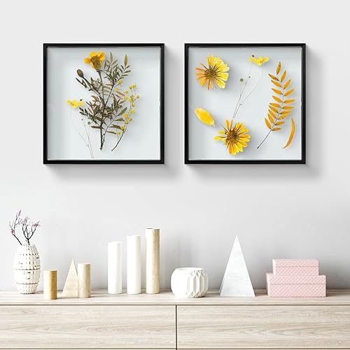 Vista 217 de Frametory, Marco de fotos flotante de 16 x 20 pulgadas, marco de fotos de metal, cristal real, para montaje en pared o mesa (negro, paquete de 2)