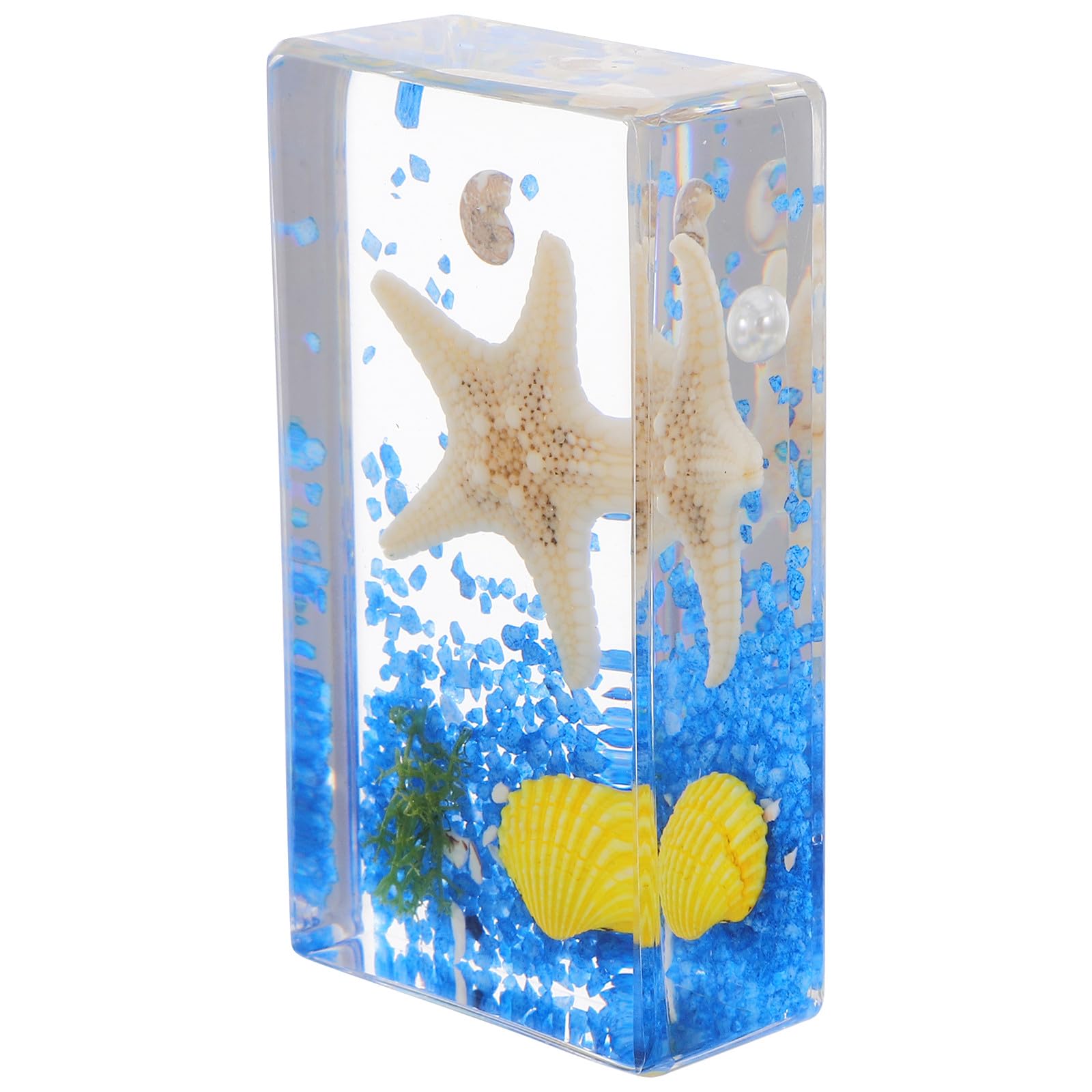 Espécimen educativo de estrella de mar para decoración científica escolar 8