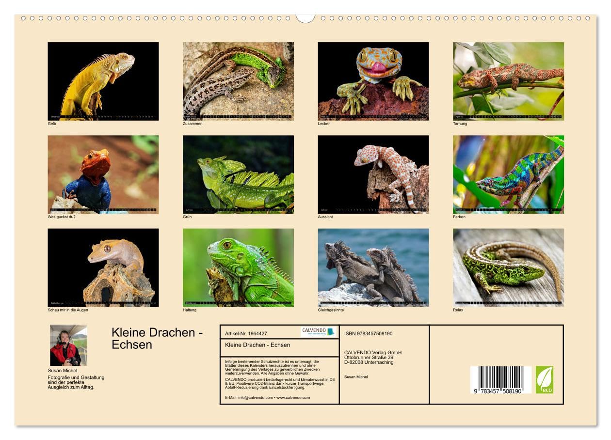 Kleine Drachen - Echsen (hochwertiger Premium Wandkalender 2026 DIN A2 quer), Kunstdruck in Hochglanz: Eine Welt voller Magie (CALVENDO Tiere)