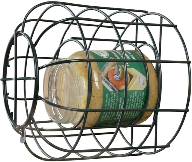 Esschert Design 2075463 Squirrel Proof Peanut Butter Feeder, Green (Peanut butter not included)