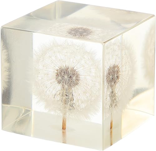 ARTIBETTER Estatua de espécimen de hojaldre real de diente de león 3D en cubo de cristal de cristal, adorno de escritorio, decoración Fengshui para disponible en Yaxa Costa Rica