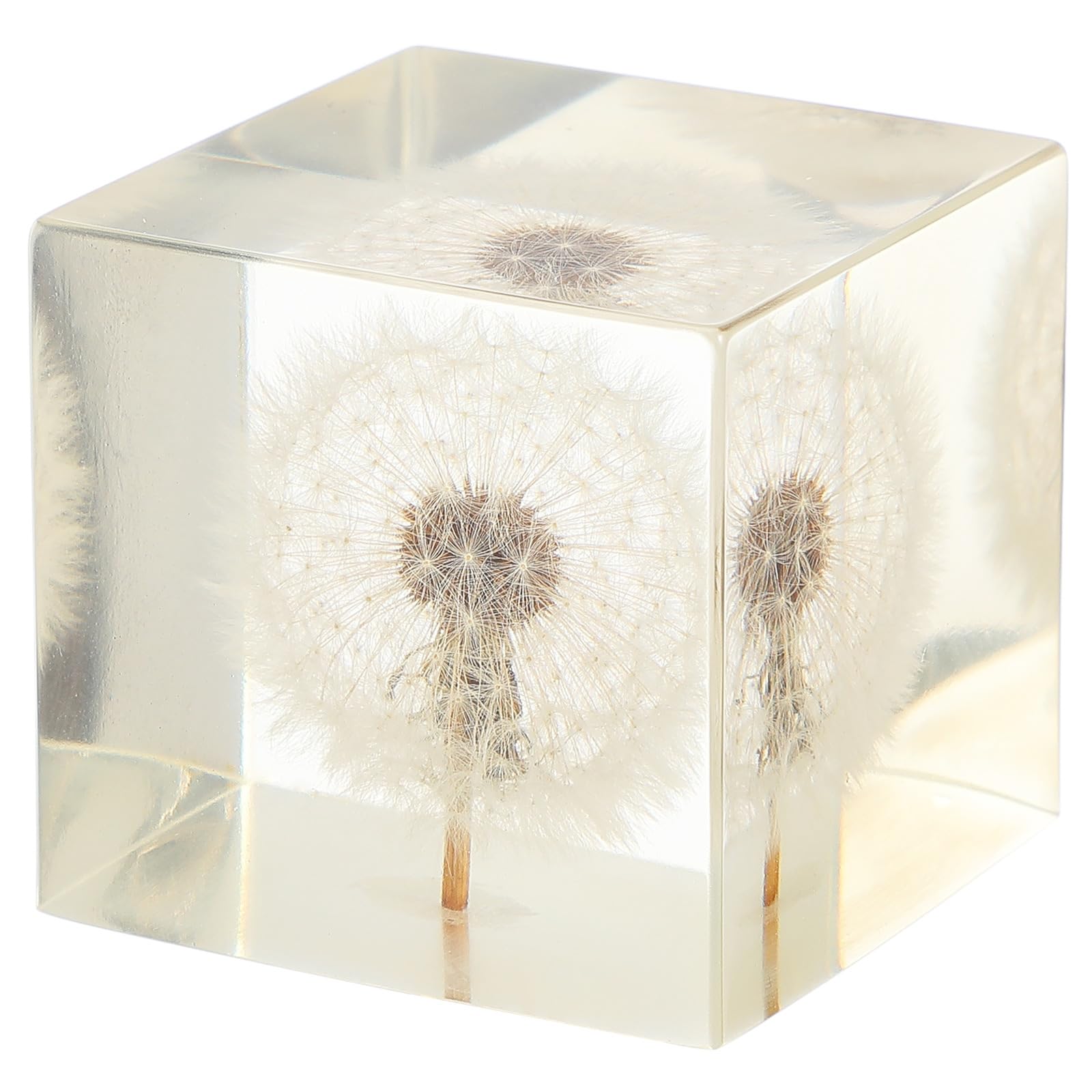 3D Dandelions Paperweight Real Puff Specimen Statue in Crystal Glass Cube Desk Ornament Fengshui Decor for Graduation Birthday Glass Balls